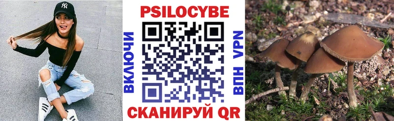 МЕГА маркетплейс Камызяк Галлюциногенные грибы GOLDEN TEACHER